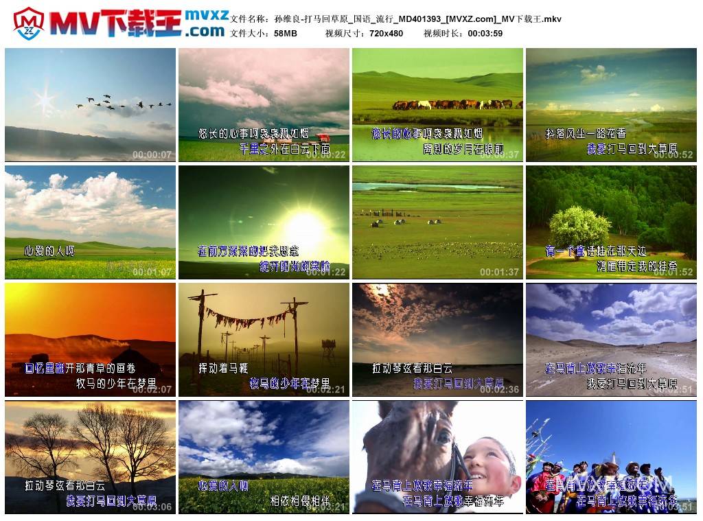 孙维良-打马回草原_国语_流行_MD401393